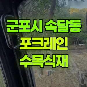 경기 군포시 02궤도(LC) 포크레인(굴착기) 수목식재 일대 후기