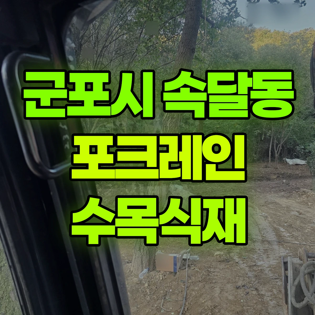 군포시 속달동 포크레인 수목식재 비용