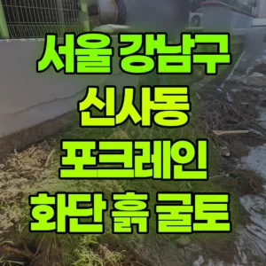 서울 강남구 미니008 포크레인(굴착기) 화단 흙 굴토  일대 후기