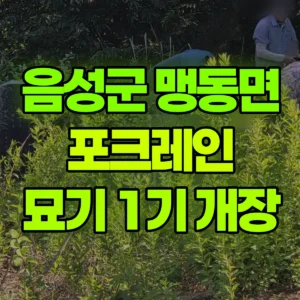 충북 음성군 미니035 포크레인(굴착기) 묘기 1기 개장 반나절 후기