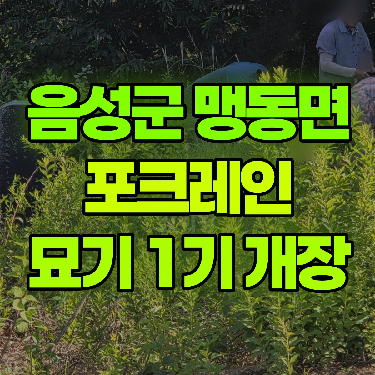 음성군 맹동면 포크레인 묘기 1기 개장 비용