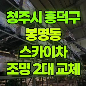충북 청주시 스카이차 조명교체 / 2대작업 일대 후기