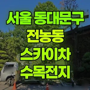 서울 동대문구 스카이차 수목전지 일대 후기
