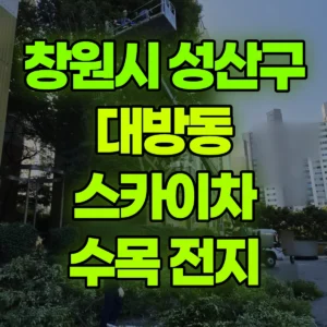 경남 창원시 스카이차 수목 전지 일대 후기