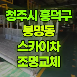 충북 청주시 스카이차 조명교체 일대 후기