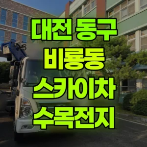 대전 동구 스카이차 수목전지 일대 후기