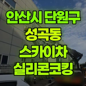 경기 안산시 스카이차 실리콘코킹 2시간 후기